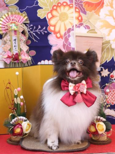 20240126太郎くん